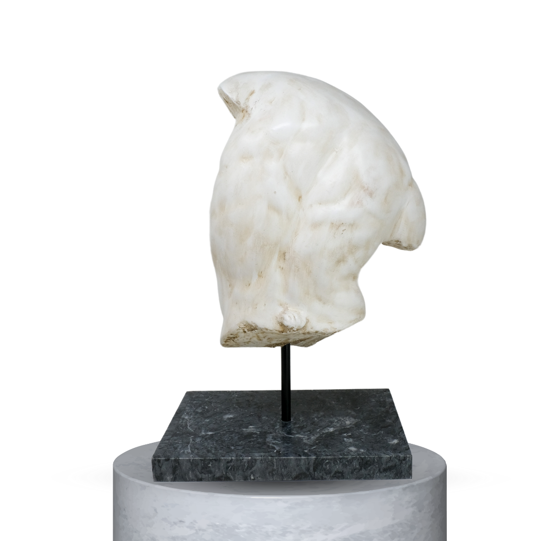TORSO GADDI ANTICHIZZATO CON BASE IN MARMO GRIGIO IMPERIALE