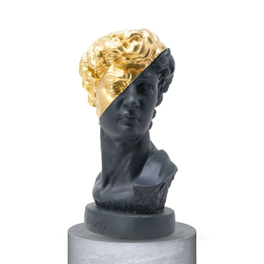 DAVID HALF FACE - NERO OPACO/GOLD