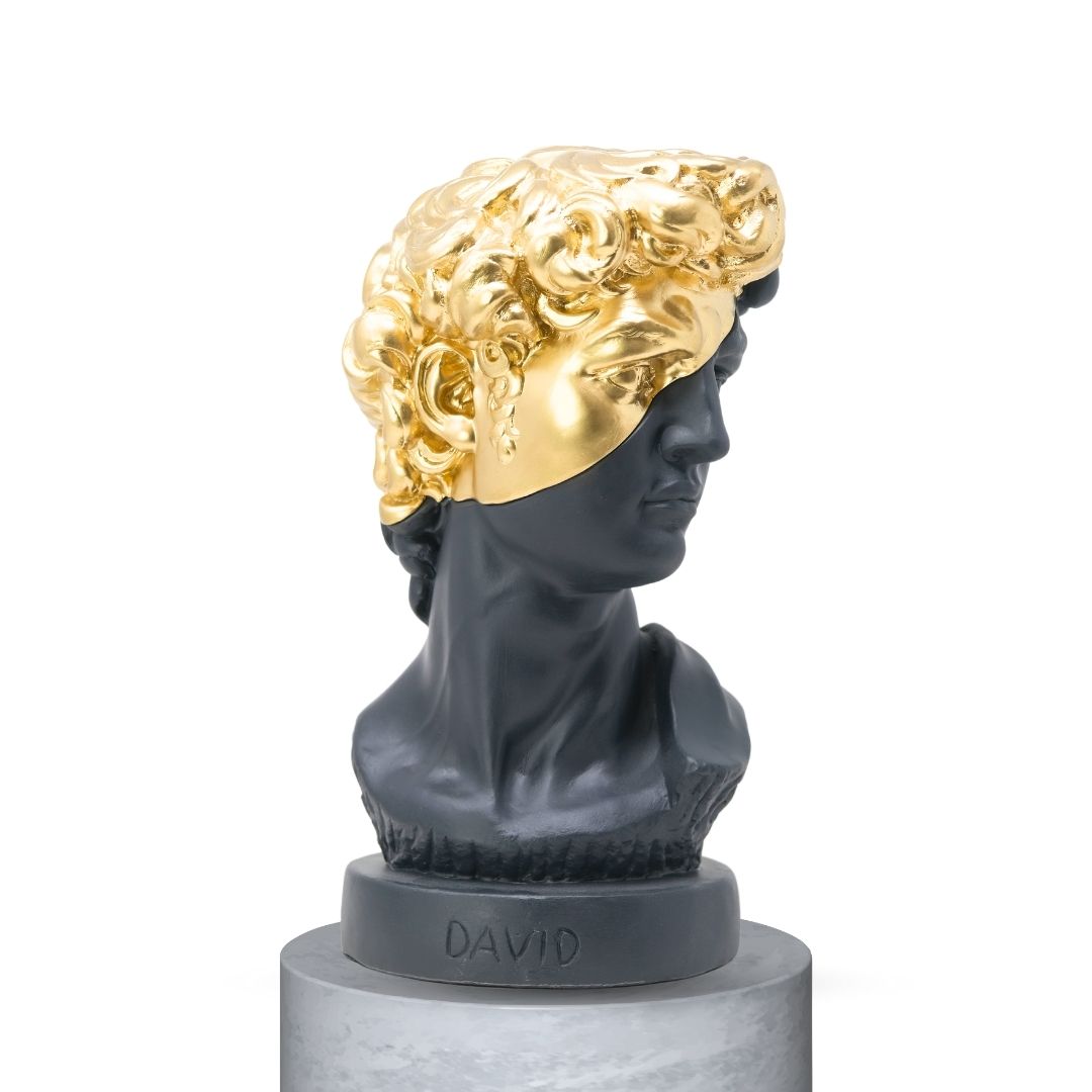 DAVID HALF FACE - NERO OPACO/GOLD