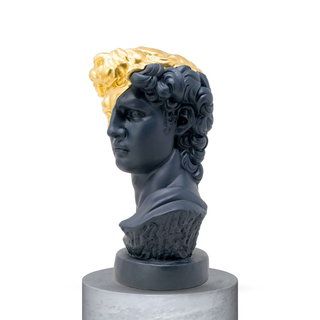 DAVID HALF FACE - NERO OPACO/GOLD