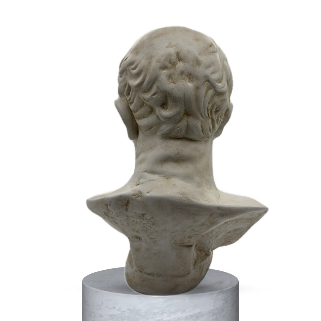 CICERONE - EFFETTO INVECCHIATO